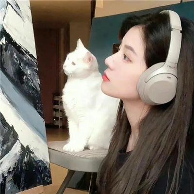 飞哥与小佛第四季